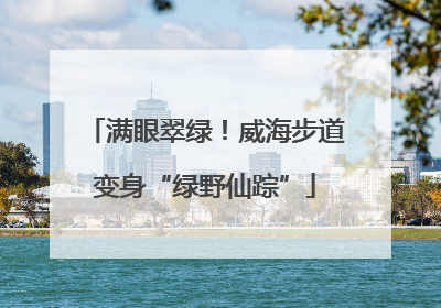 满眼翠绿！威海步道变身“绿野仙踪”