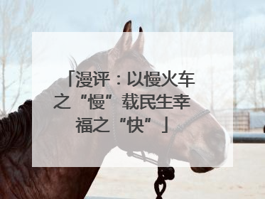 漫评：以慢火车之“慢”载民生幸福之“快”