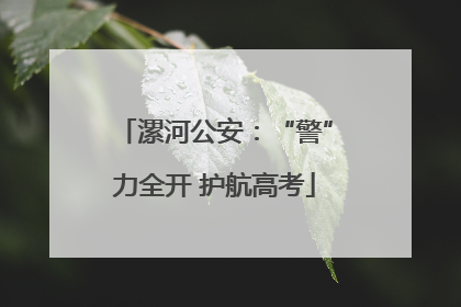 漯河公安：“警”力全开 护航高考