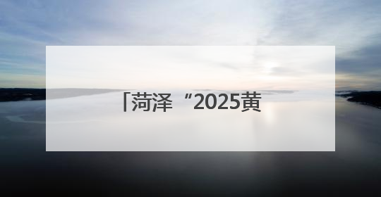 菏泽“2025黄河大集—曹州牡丹园夜游消夏季”开幕