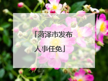 菏泽市发布人事任免
