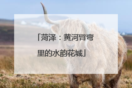 菏泽：黄河臂弯里的水韵花城