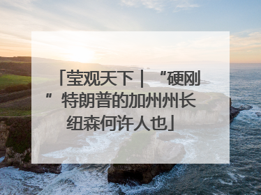 莹观天下｜“硬刚”特朗普的加州州长纽森何许人也