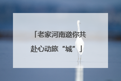 老家河南邀你共赴心动旅“城”