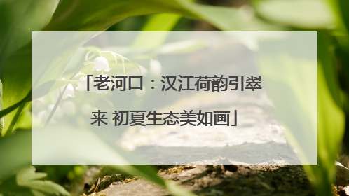 老河口：汉江荷韵引翠来 初夏生态美如画