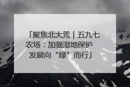 聚焦北大荒｜五九七农场：加强湿地保护 发展向“绿”而行