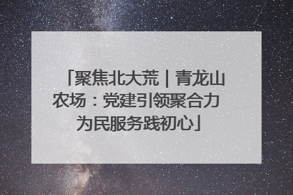 聚焦北大荒｜青龙山农场：党建引领聚合力 为民服务践初心