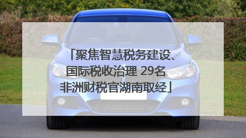 聚焦智慧税务建设、国际税收治理 29名非洲财税官湖南取经