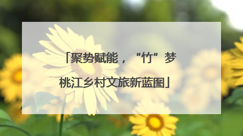 聚势赋能，“竹”梦桃江乡村文旅新蓝图