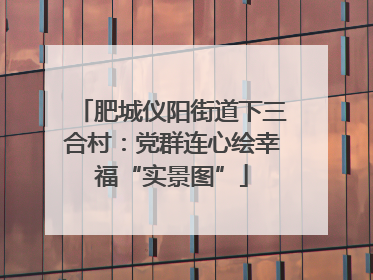肥城仪阳街道下三合村：党群连心绘幸福“实景图”