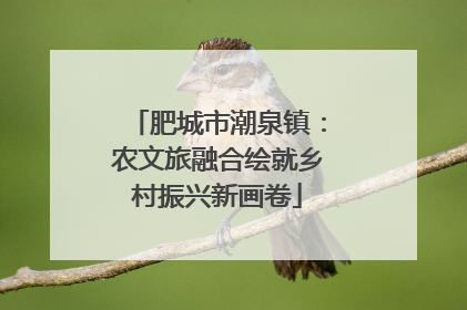 肥城市潮泉镇：农文旅融合绘就乡村振兴新画卷
