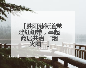 胜阳港街道党建红纽带，串起商居共治 “烟火圈”