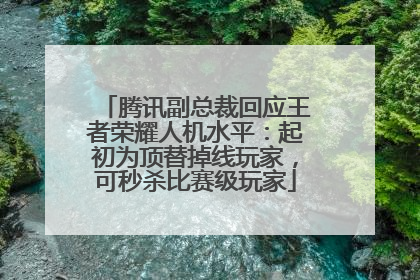 腾讯副总裁回应王者荣耀人机水平：起初为顶替掉线玩家，可秒杀比赛级玩家