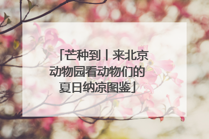 芒种到丨来北京动物园看动物们的夏日纳凉图鉴