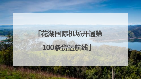 花湖国际机场开通第100条货运航线