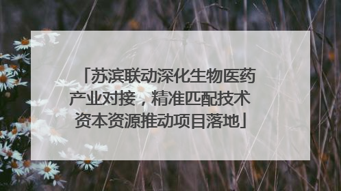 苏滨联动深化生物医药产业对接，精准匹配技术资本资源推动项目落地