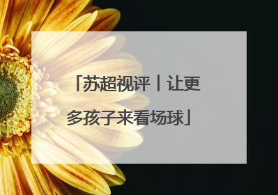 苏超视评︱让更多孩子来看场球