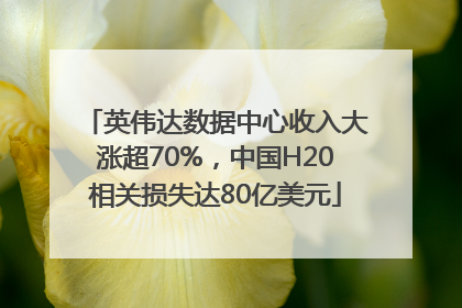 英伟达数据中心收入大涨超70%，中国H20相关损失达80亿美元