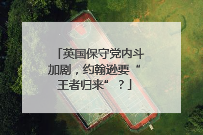英国保守党内斗加剧，约翰逊要“王者归来”？