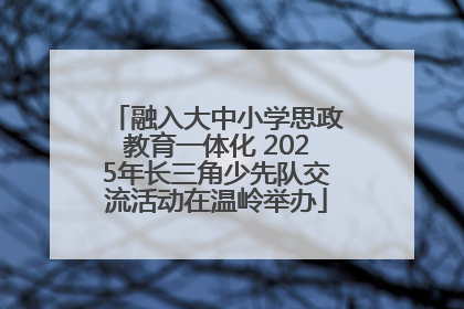 融入大中小学思政教育一体化 2025年长三角少先队交流活动在温岭举办
