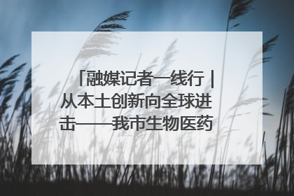 融媒记者一线行｜从本土创新向全球进击——我市生物医药产业破茧突围