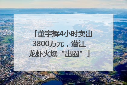 董宇辉4小时卖出3800万元，潜江龙虾火爆“出圈”