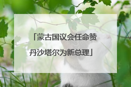 蒙古国议会任命赞丹沙塔尔为新总理