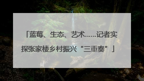 蓝莓、生态、艺术……记者实探张家楼乡村振兴“三重奏”