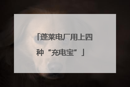 蓬莱电厂用上四种“充电宝”