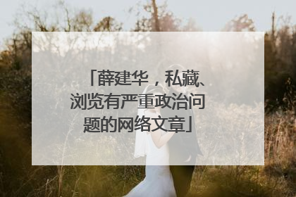 薛建华，私藏、浏览有严重政治问题的网络文章