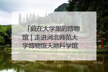 藏在大学里的博物馆｜走进河北师范大学博物馆天地科学馆：在校园里赴一场“宇宙之约”