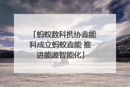 蚂蚁数科携协鑫能科成立蚂蚁鑫能 推进能源智能化