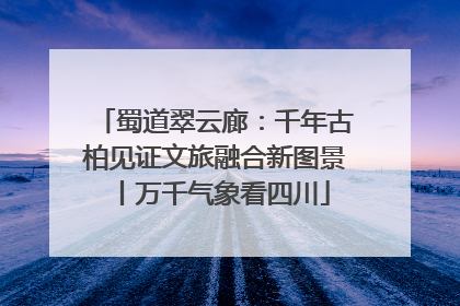 蜀道翠云廊：千年古柏见证文旅融合新图景丨万千气象看四川