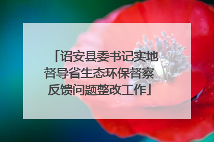 诏安县委书记实地督导省生态环保督察反馈问题整改工作