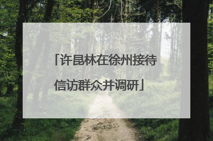 许昆林在徐州接待信访群众并调研