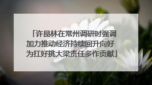 许昆林在常州调研时强调 加力推动经济持续回升向好 为扛好挑大梁责任多作贡献