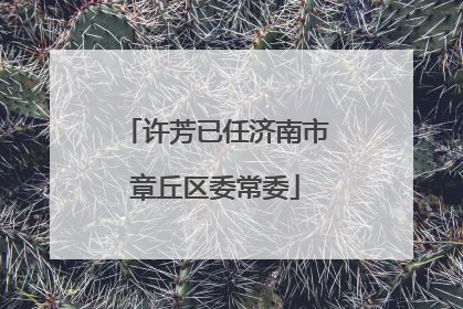 许芳已任济南市章丘区委常委