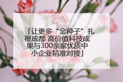 让更多“金种子”扎根成都 高价值科技成果与300余家优质中小企业精准对接