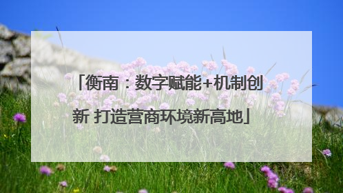 衡南：数字赋能+机制创新 打造营商环境新高地