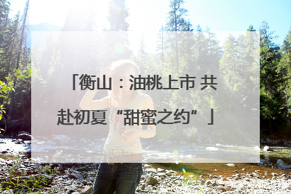 衡山：油桃上市 共赴初夏“甜蜜之约”