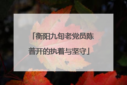 衡阳九旬老党员陈普开的执着与坚守