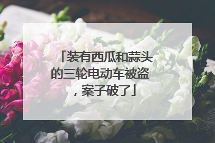 装有西瓜和蒜头的三轮电动车被盗，案子破了