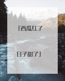 西瓜红了 日子甜了