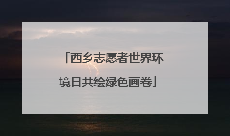 西乡志愿者世界环境日共绘绿色画卷