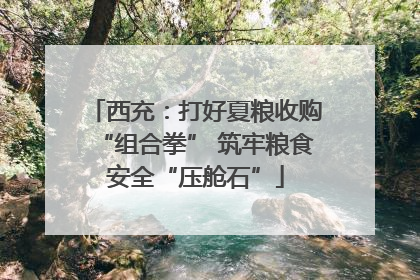 西充：打好夏粮收购“组合拳” 筑牢粮食安全“压舱石”