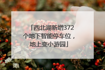 西北湖新增372个地下智能停车位，地上变小游园