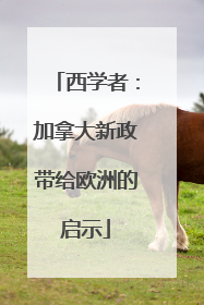 西学者：加拿大新政带给欧洲的启示