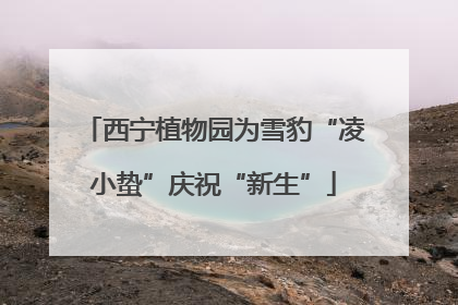 西宁植物园为雪豹“凌小蛰”庆祝“新生”