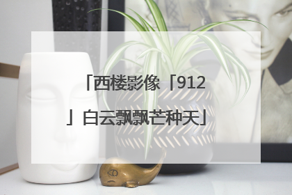 西楼影像「912」白云飘飘芒种天