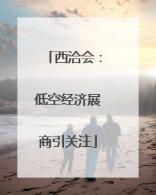 西洽会：低空经济展商引关注